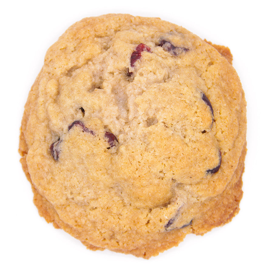 orange and cranberry gluten free and dairy free cookie