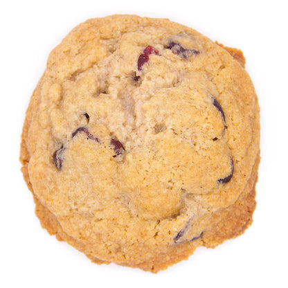 orange and cranberry gluten free and dairy free cookie