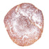 Vegan Dairy Free & Gluten Free Snickerwoodle Cinnamon Sugar Cookie